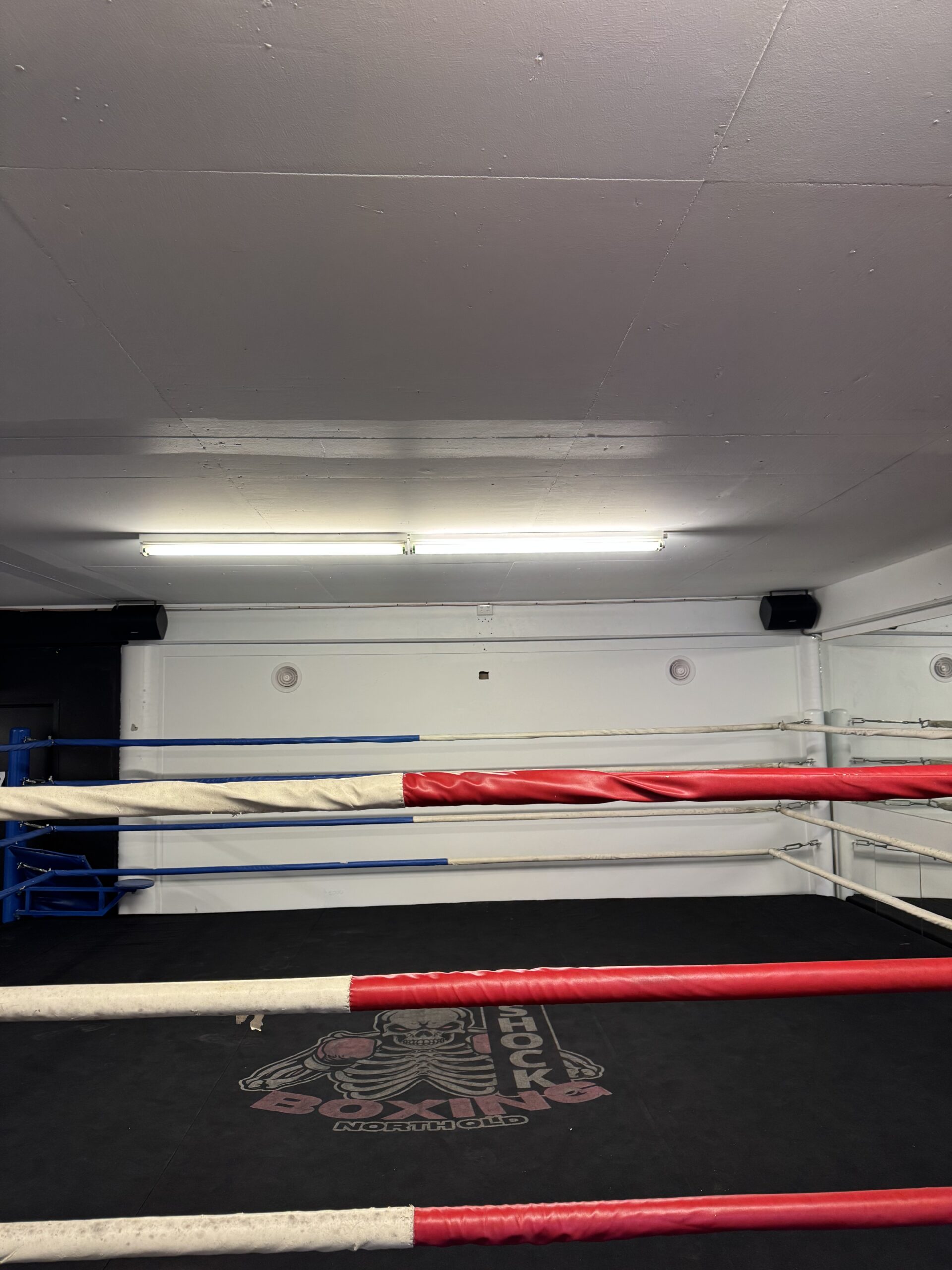 Shock Boxing, Newstead Before Artwork