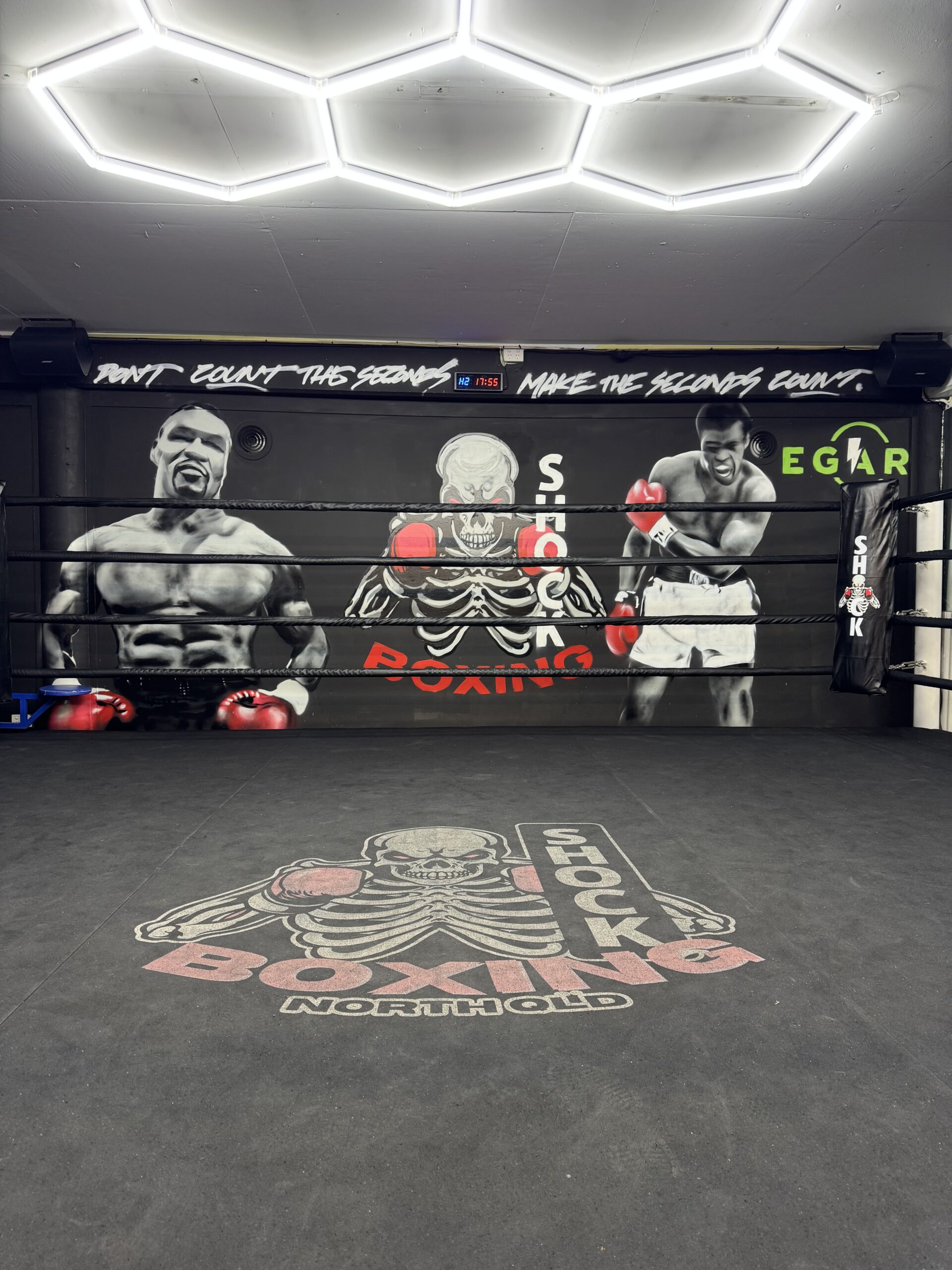 Shock Boxing Finished Product